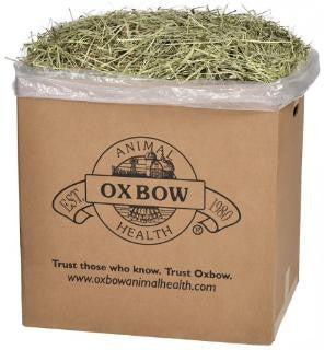 Oxbow Orchard Grass 50 lb. Online now