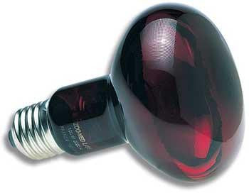 ZooMed Red Infared Heat Lamp 50 Watts Online