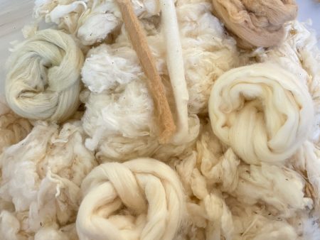 Cotton Clouds Spin Your Own Yarn Sampler on Sale