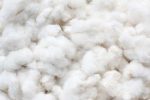 Pima Long Staple Ginned Cotton For Cheap