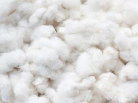 Pima Long Staple Ginned Cotton For Cheap