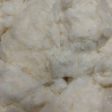 Upland Ginned Cotton Sale