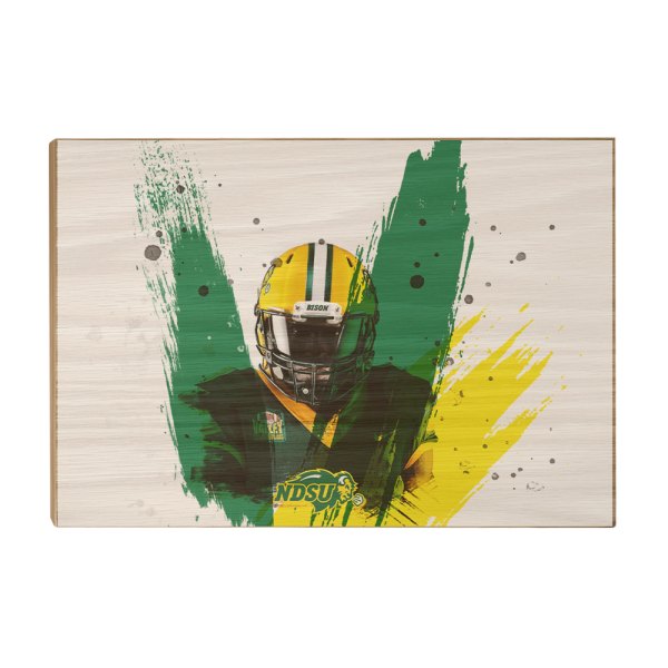 North Dakota State Bison - NDSU Football Paint Online Sale