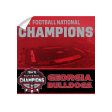 Georgia Bulldogs - 2021 National Champions Georgia Bulldogs For Sale