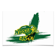 North Dakota State Bison - Paint Fashion