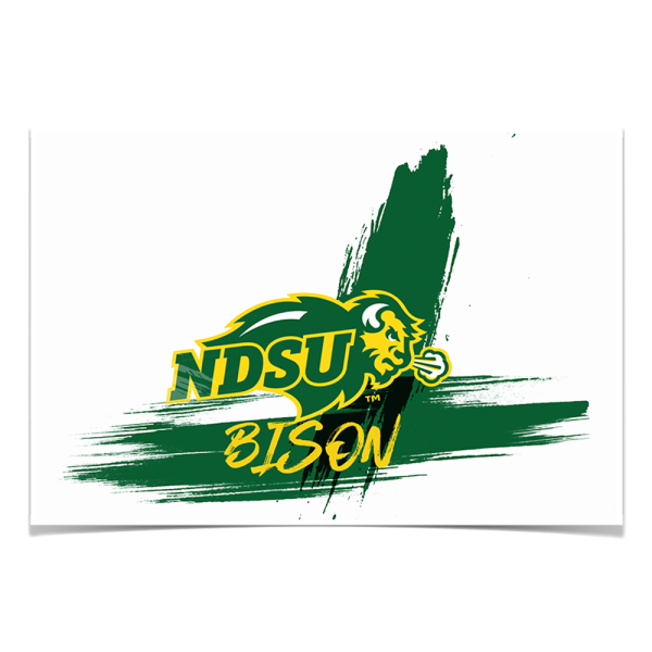 North Dakota State Bison - Paint Fashion