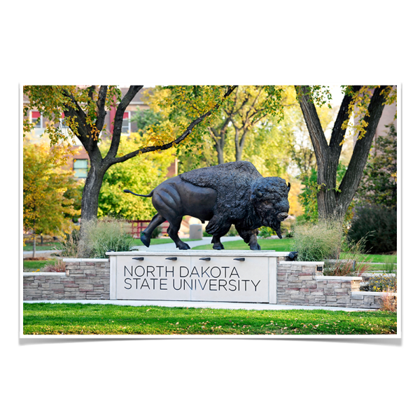 North Dakota State Bison - North Dakota State University For Sale