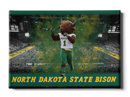 North Dakota State Bison - Thundar s North Dakota State Bison For Sale