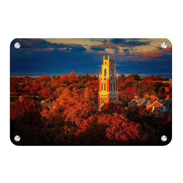 Yale Bulldogs - Fall Franklin Tower For Cheap