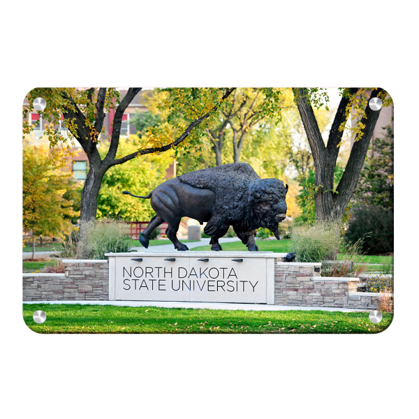 North Dakota State Bison - North Dakota State University For Sale