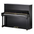 W.Hoffmann Upright Piano T128 EP Online