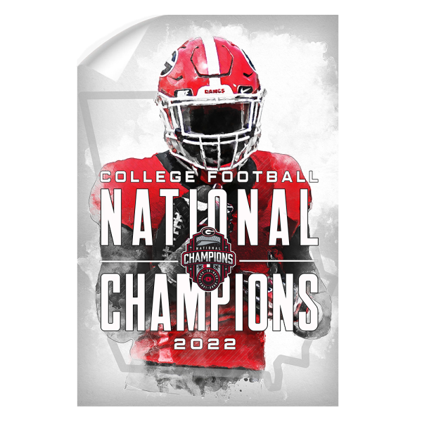 Georgia Bulldogs - 2022 National Champions For Sale