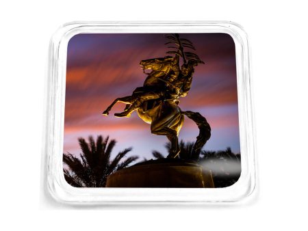 Florida State Seminoles - Osceola Last Night Drink Coaster For Sale