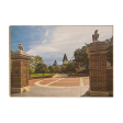 Auburn Tigers - Grand Entrance on Sale