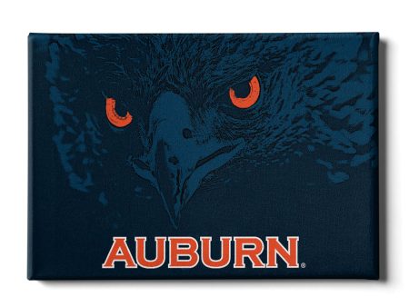 Auburn Tigers - Auburn War Eagle Cheap