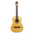 Suzuki SCG-11 Classical Guitar 4 4 size Sale