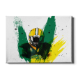 North Dakota State Bison - NDSU Football Paint Online Sale