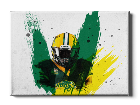 North Dakota State Bison - NDSU Football Paint Online Sale