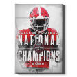 Georgia Bulldogs - 2022 National Champions For Sale