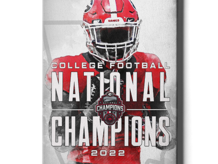 Georgia Bulldogs - 2022 National Champions For Sale