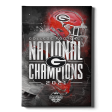 Georgia Bulldogs - 2021 College Football National Champions Cheap