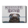 Mississippi State Bulldogs - Mississippi State Bulldog For Sale