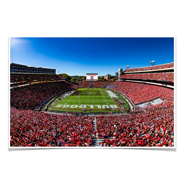 Georgia Bulldogs - It s Saturday Hot on Sale