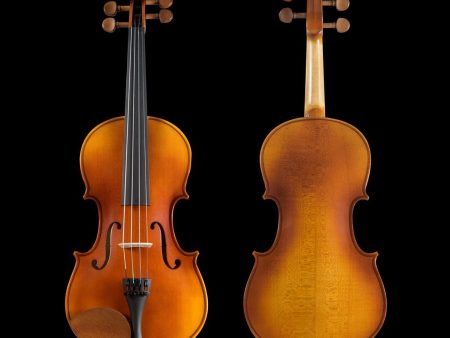 Violin - Pearl River - PR-V01 1 2 size on Sale