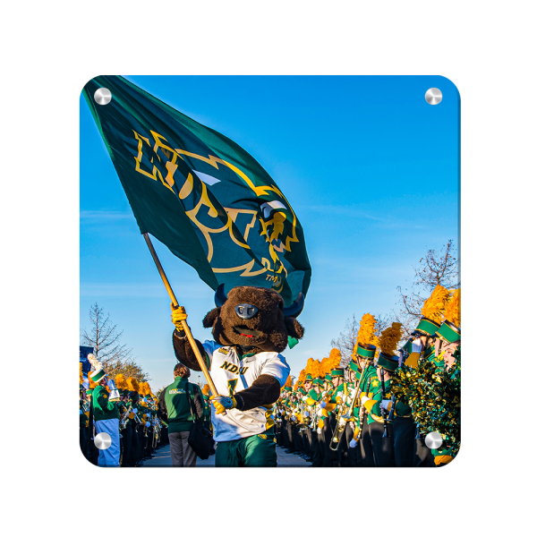 North Dakota State Bison - Thundar Team Walk For Discount