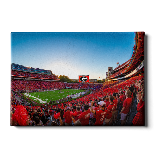 Georgia Bulldogs - Gooooo Georgia Online Hot Sale