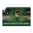 North Dakota State Bison - Thundar s North Dakota State Bison For Sale