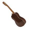 Raimundo 124 Cedar Classical Guitar Supply