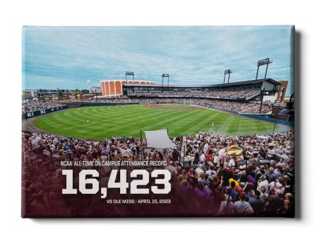 Mississippi State Bulldogs - 16,423 Online