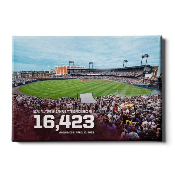 Mississippi State Bulldogs - 16,423 Online