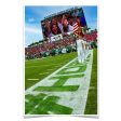 USF Bulls - Enter Stars and Stripes Discount