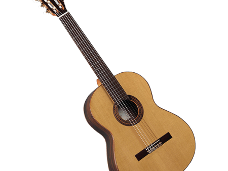 Alhambra Iberia Ziricote Guitar with bag Discount