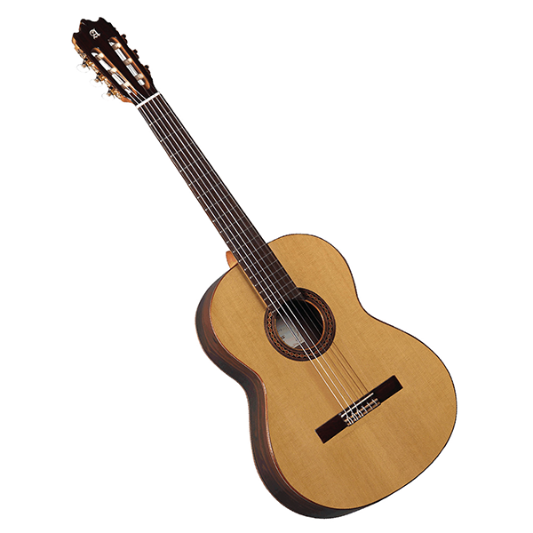 Alhambra Iberia Ziricote Guitar with bag Discount