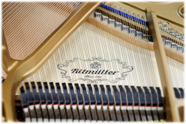 Ritmuller Upright Piano EU118SZ Blue on Sale