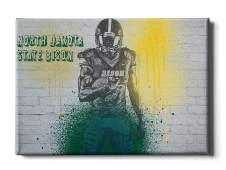 North Dakota State Bison - NDSU Graffiti on Sale