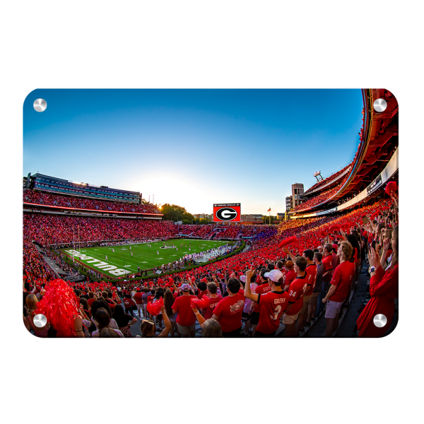 Georgia Bulldogs - Gooooo Georgia Online Hot Sale