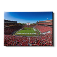 Georgia Bulldogs - It s Saturday Hot on Sale