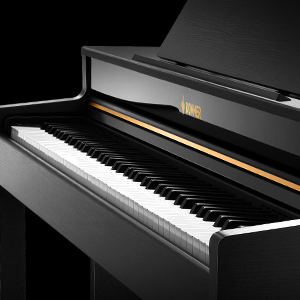 DONNER Digital Piano DDP-400 Black Discount