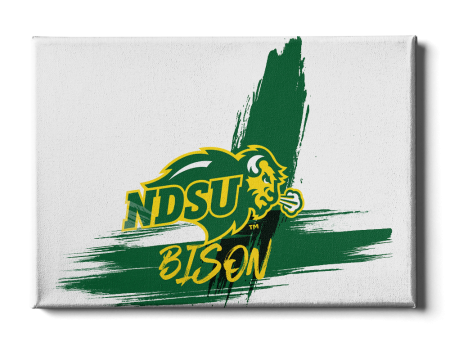 North Dakota State Bison - Paint Fashion