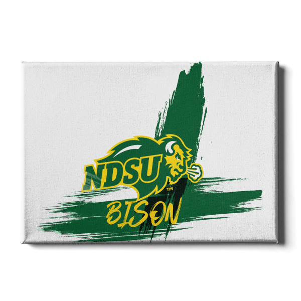 North Dakota State Bison - Paint Fashion