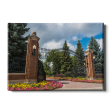 North Dakota State Bison - North Dakota State University Gates Online now