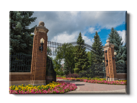 North Dakota State Bison - North Dakota State University Gates Online now