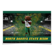 North Dakota State Bison - Thundar s North Dakota State Bison For Sale