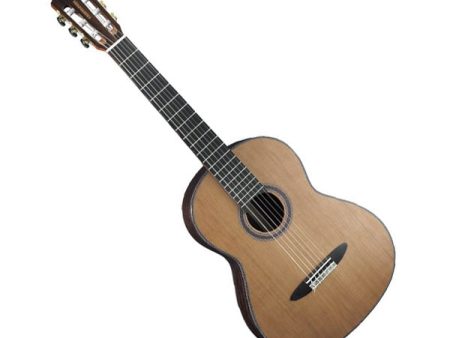 Cristofori C-50 AS Classical Guitar Online Sale