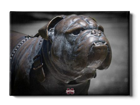 Mississippi State Bulldogs - M State Bulldog Online now