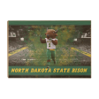 North Dakota State Bison - Thundar s North Dakota State Bison For Sale